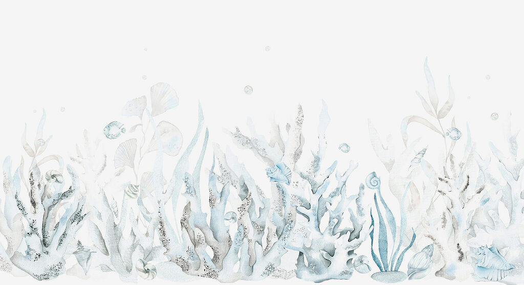 A watercolor of seaweed and shells