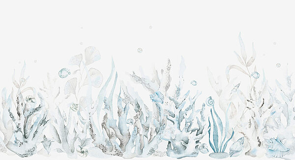 A watercolor of seaweed and shells