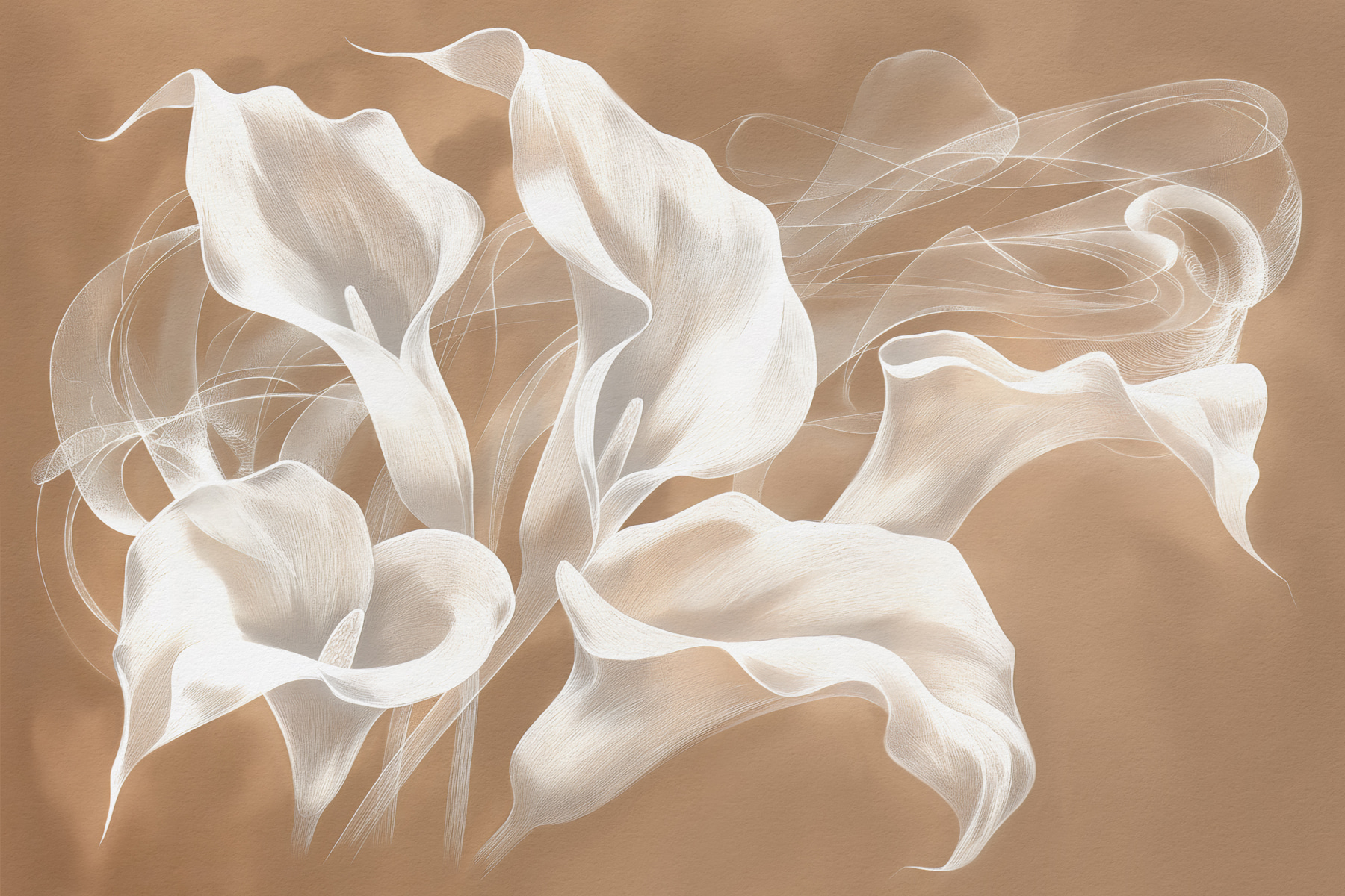 A white flowers on a brown background
