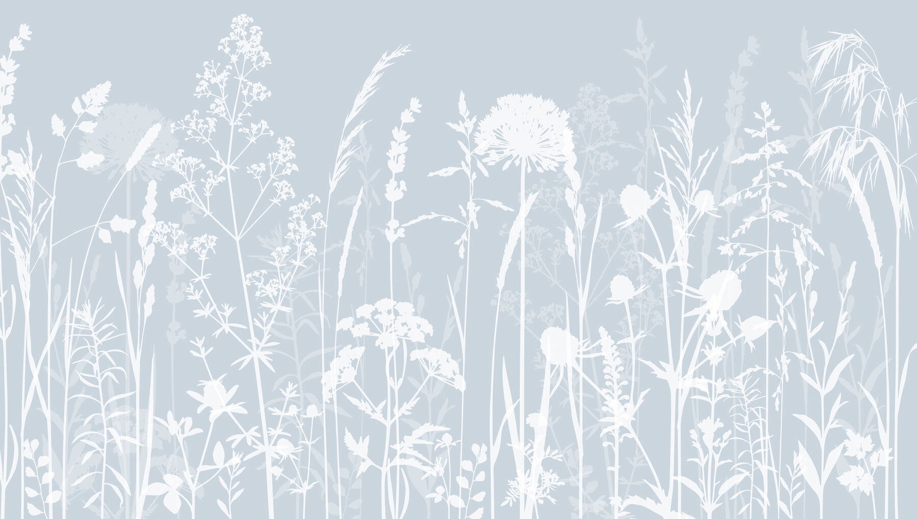 A white silhouettes of flowers