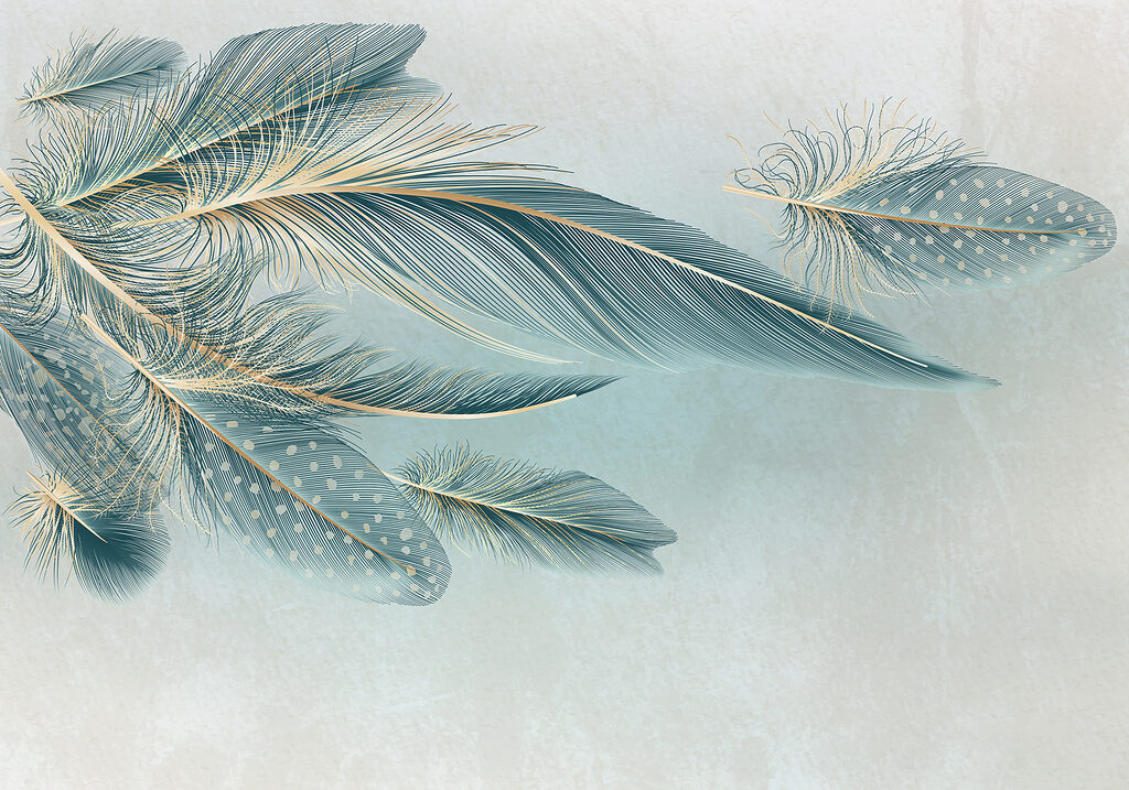 A group of feathers on a white background A group of feathers on a white background