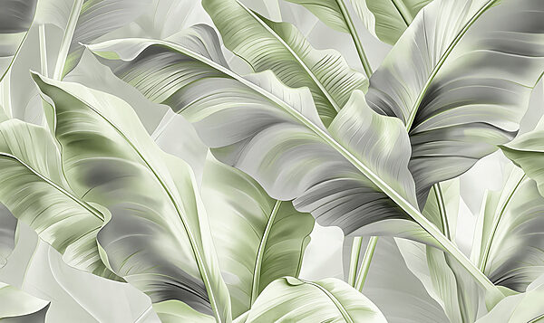 A close up of leaves