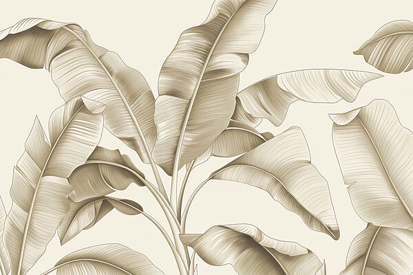 A close up of leaves