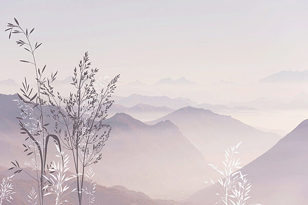 A landscape with mountains and trees