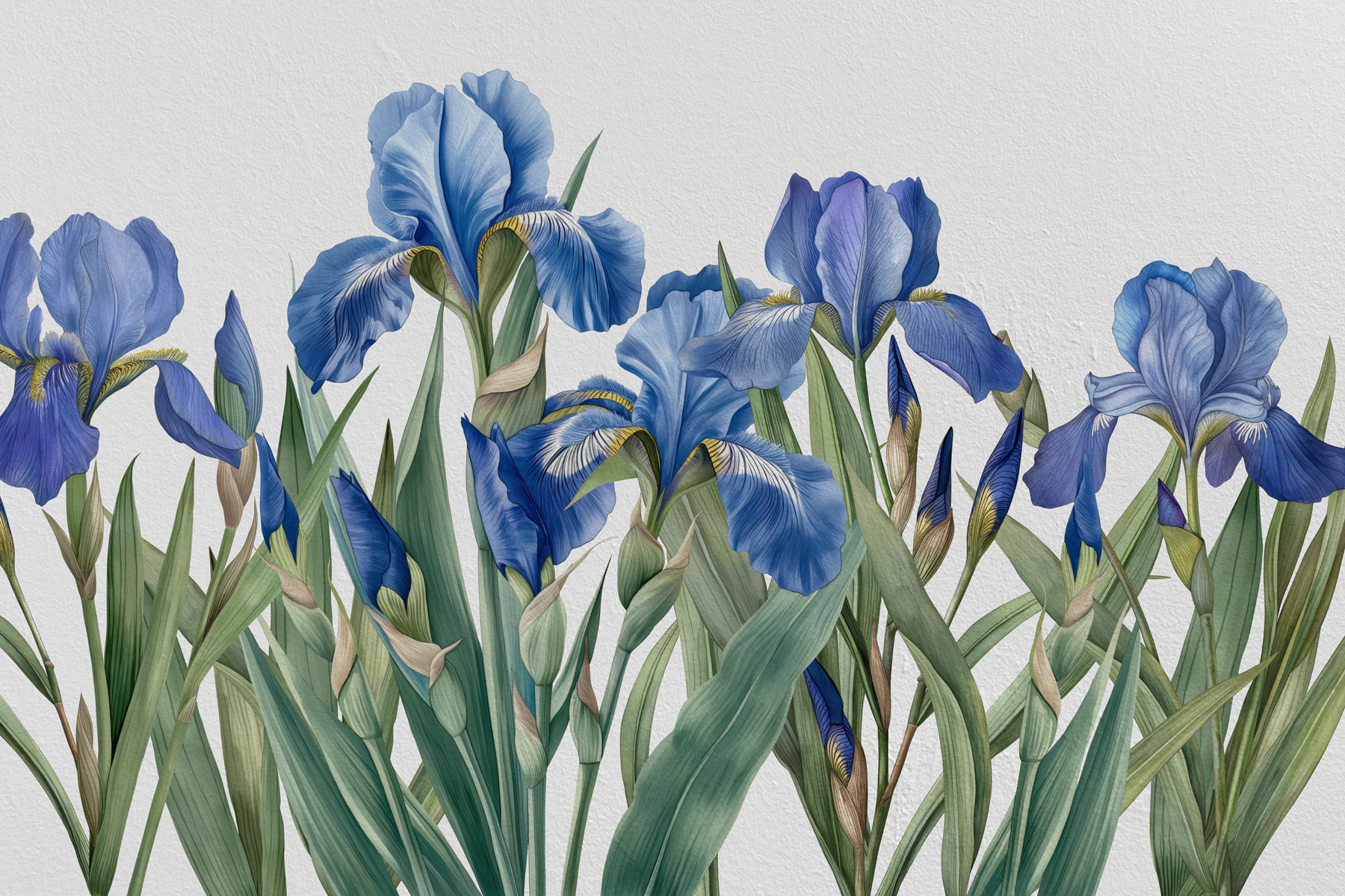 A group of blue flowers