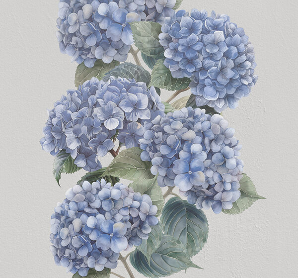Close up of flowers