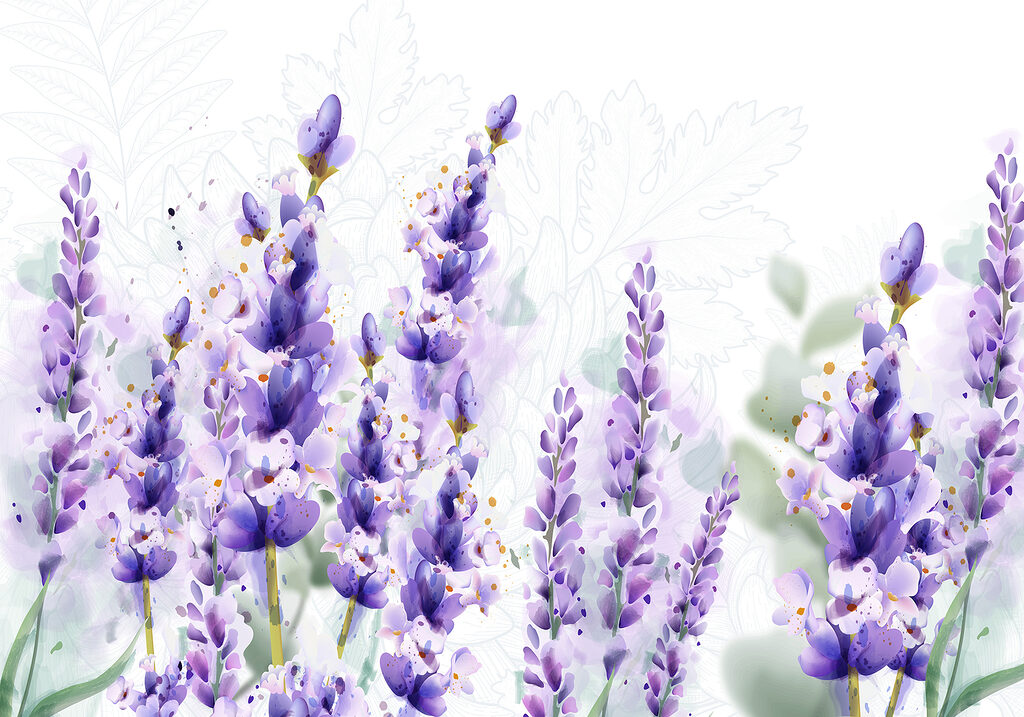 Group of purple flowers