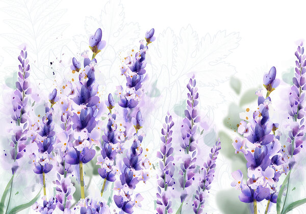 Group of purple flowers