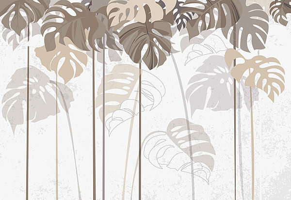 Group of leaves on a white background