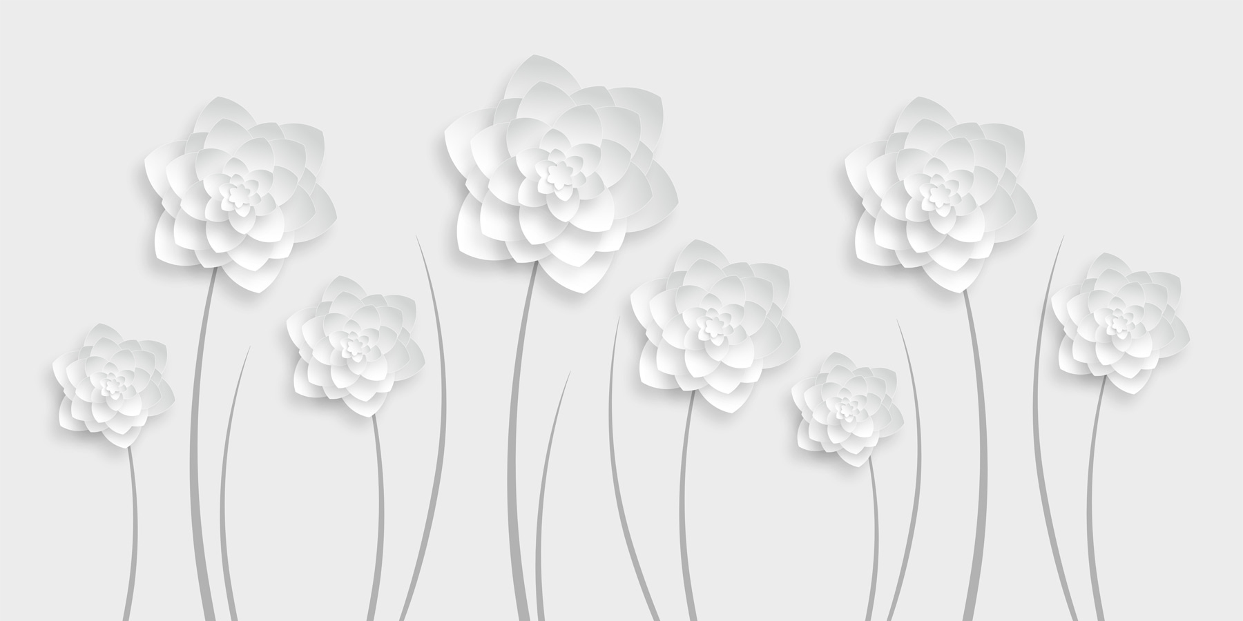 White paper flowers on a white background