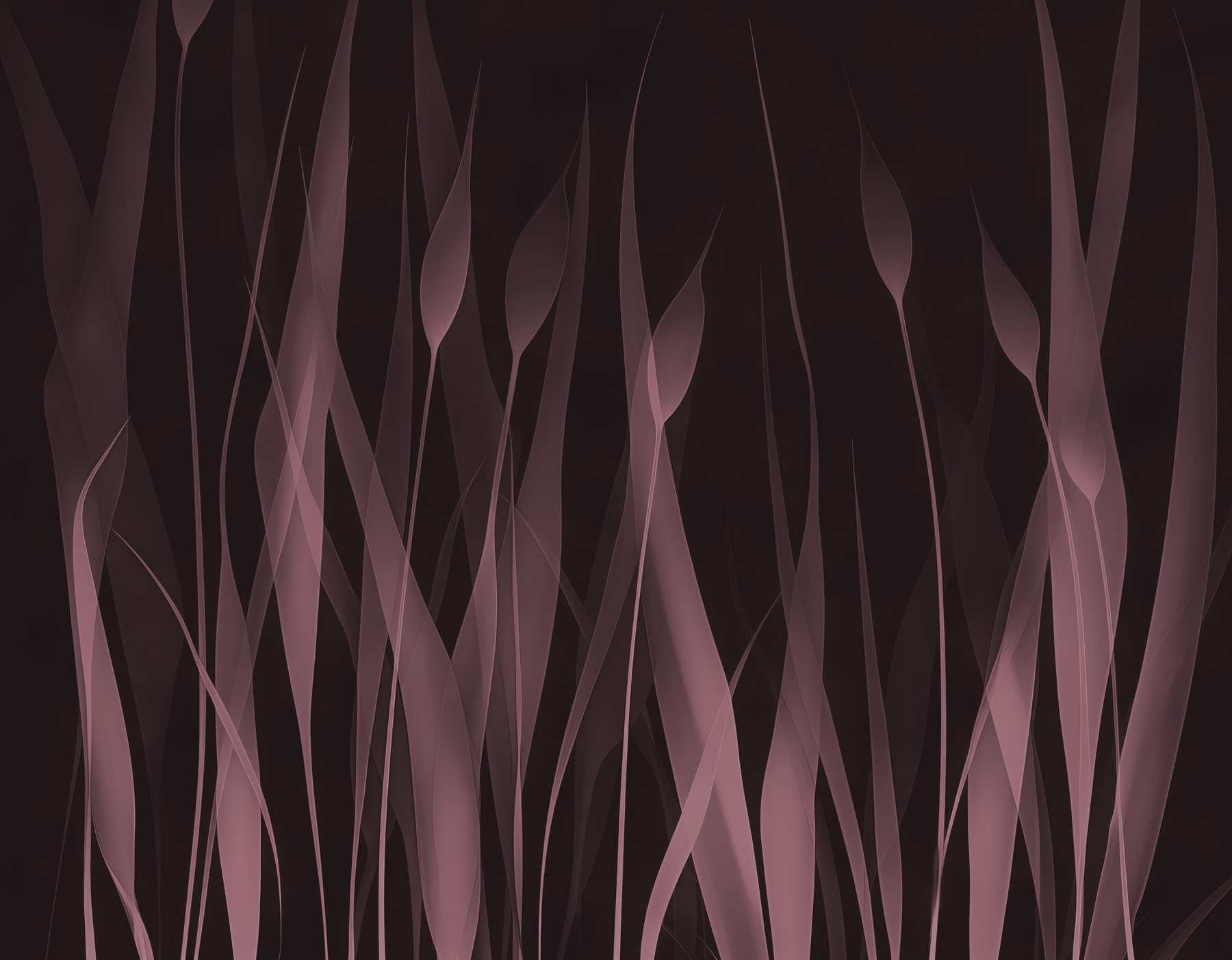 Close up of grass