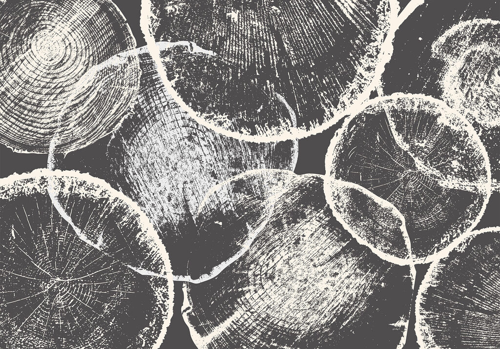 Group of circles on a gray background