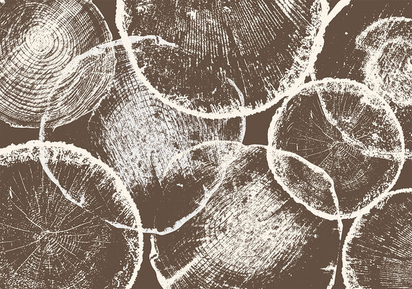 Group of cut logs