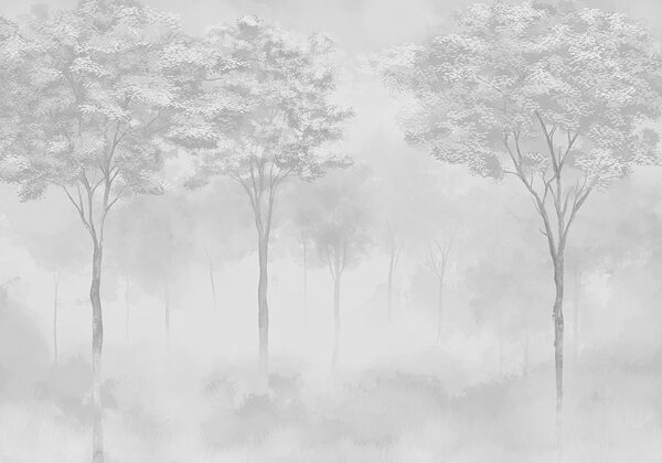 Group of trees in a foggy forest