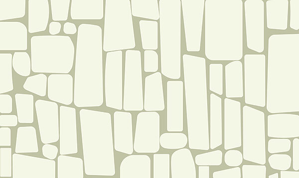 White rectangles on a light background