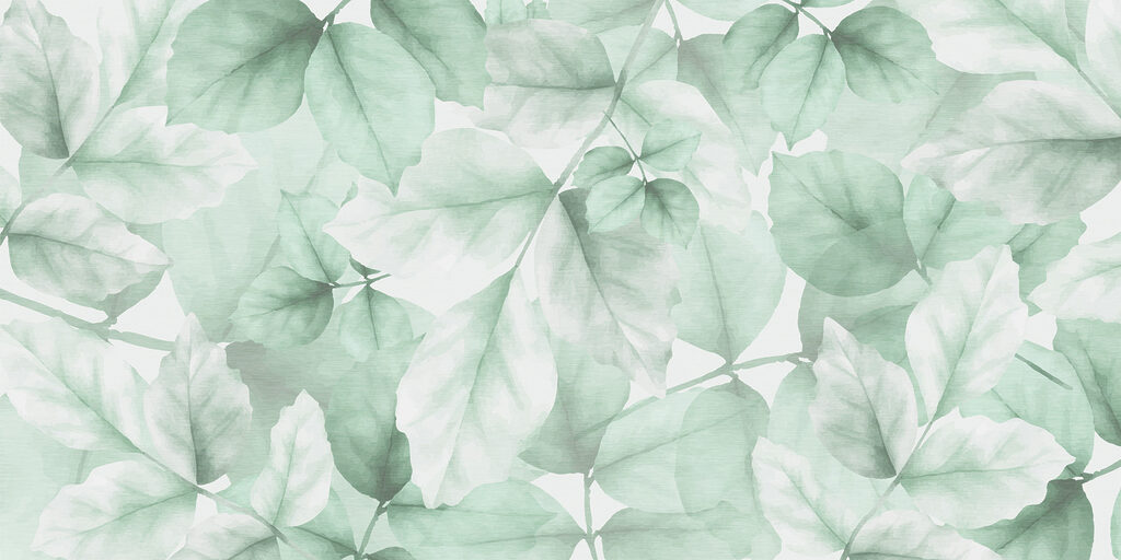 Close up of leaves