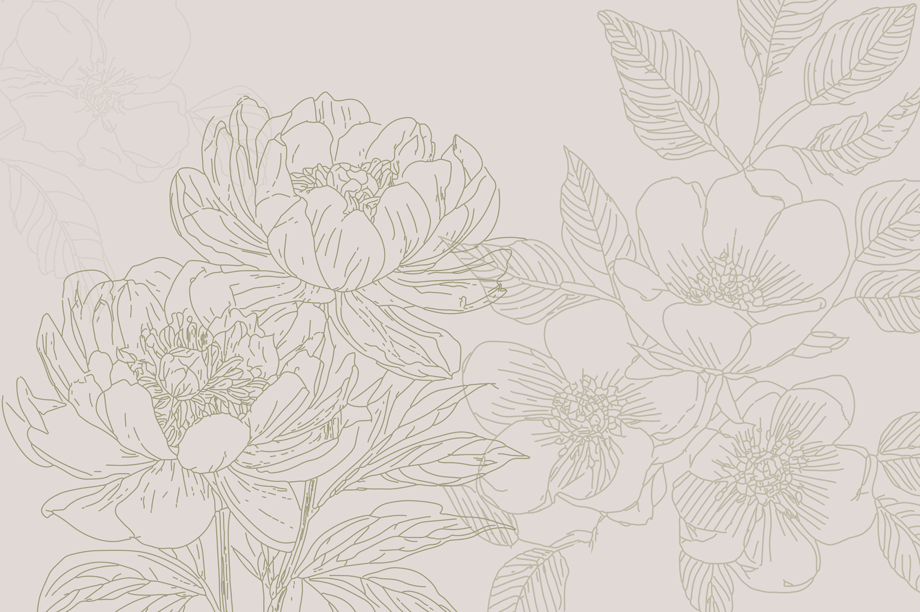 Drawing of flowers and leaves
