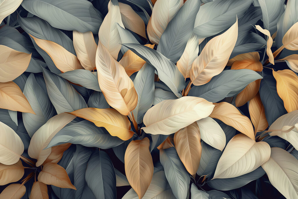 Group of leaves with different colors