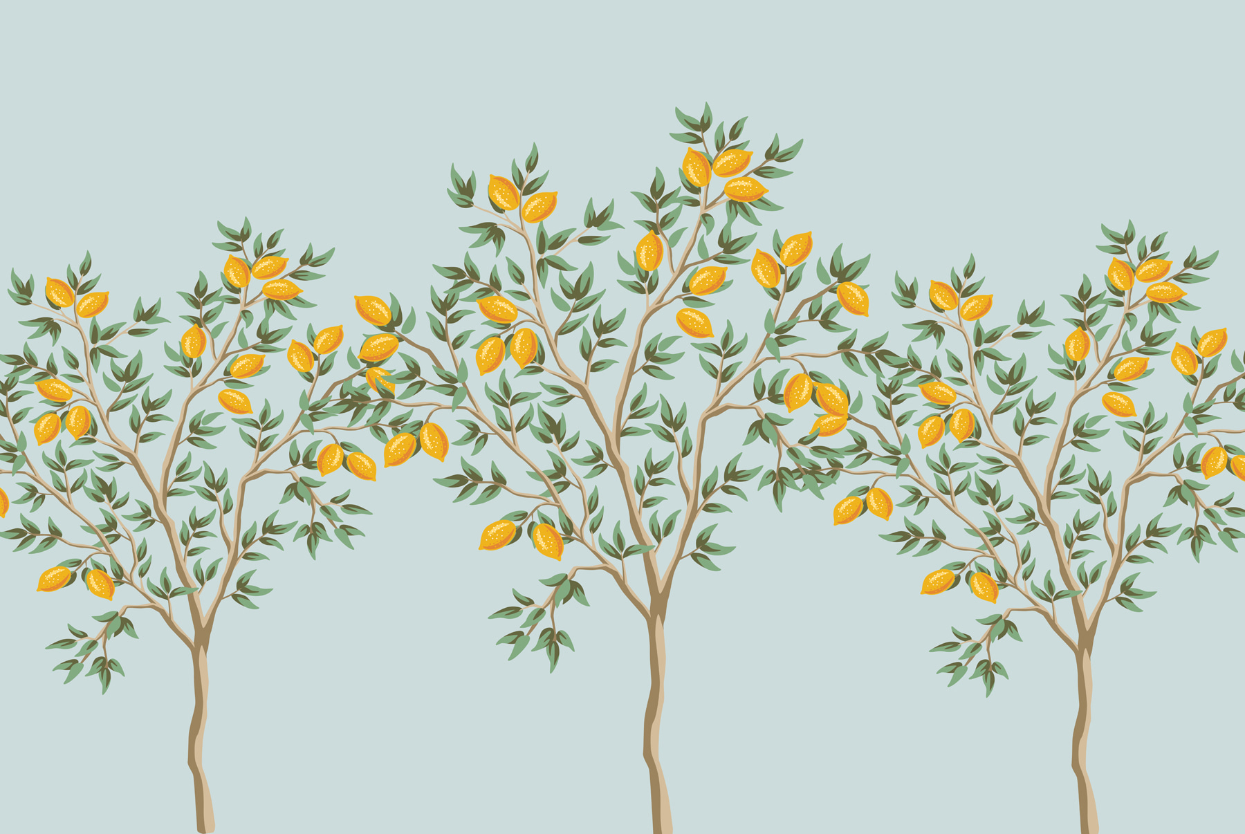 Group of lemon trees with fruits on them