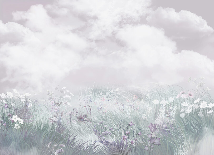 Field of flowers and grass Field of flowers and grass