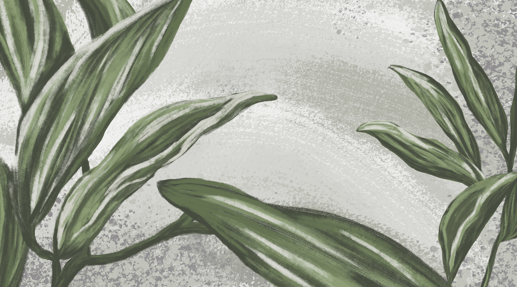 Close up of leaves