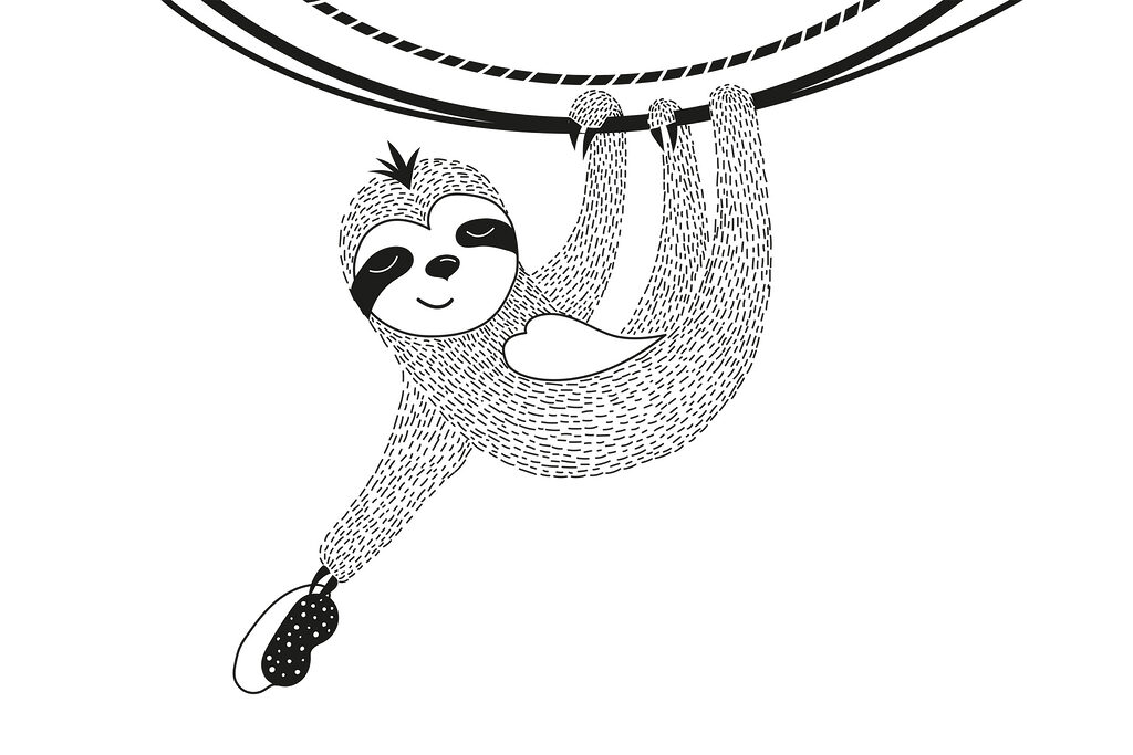 Sloth from a rope