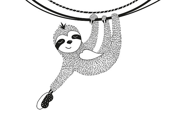 Sloth from a rope