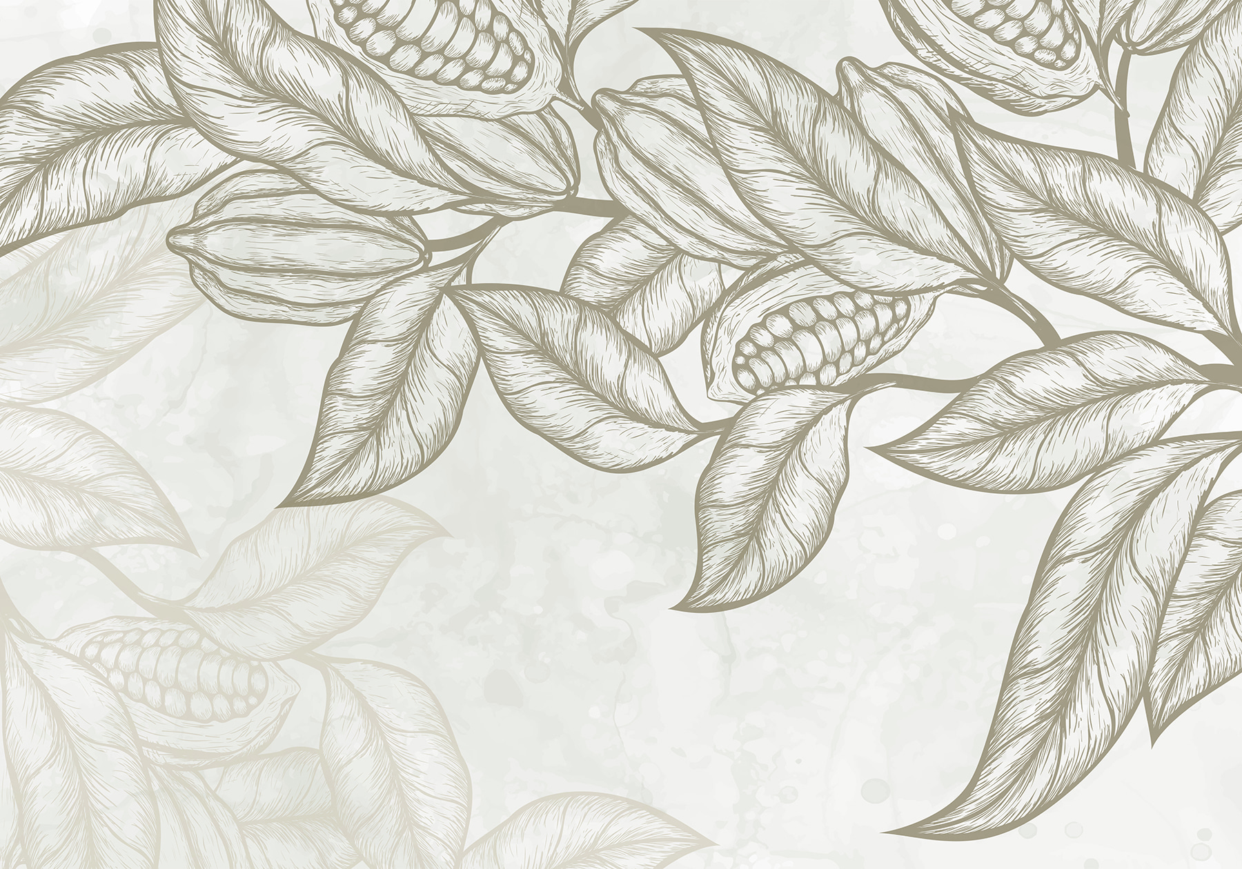 Plant with leaves and beans