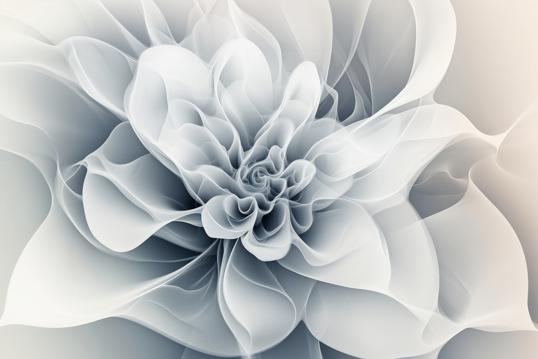 Close up of a flower