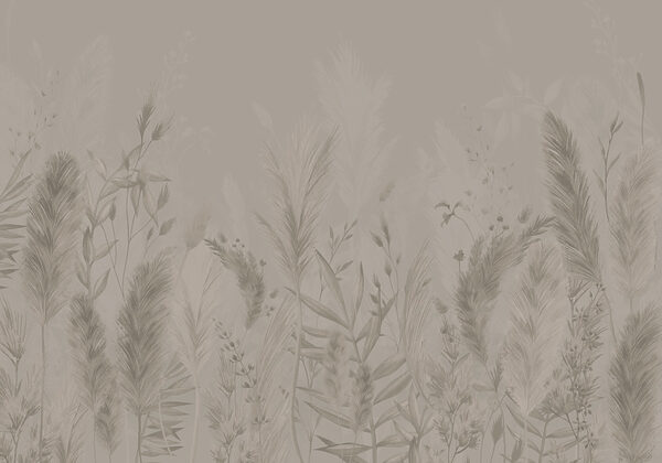 Soft textures of nature's beauty