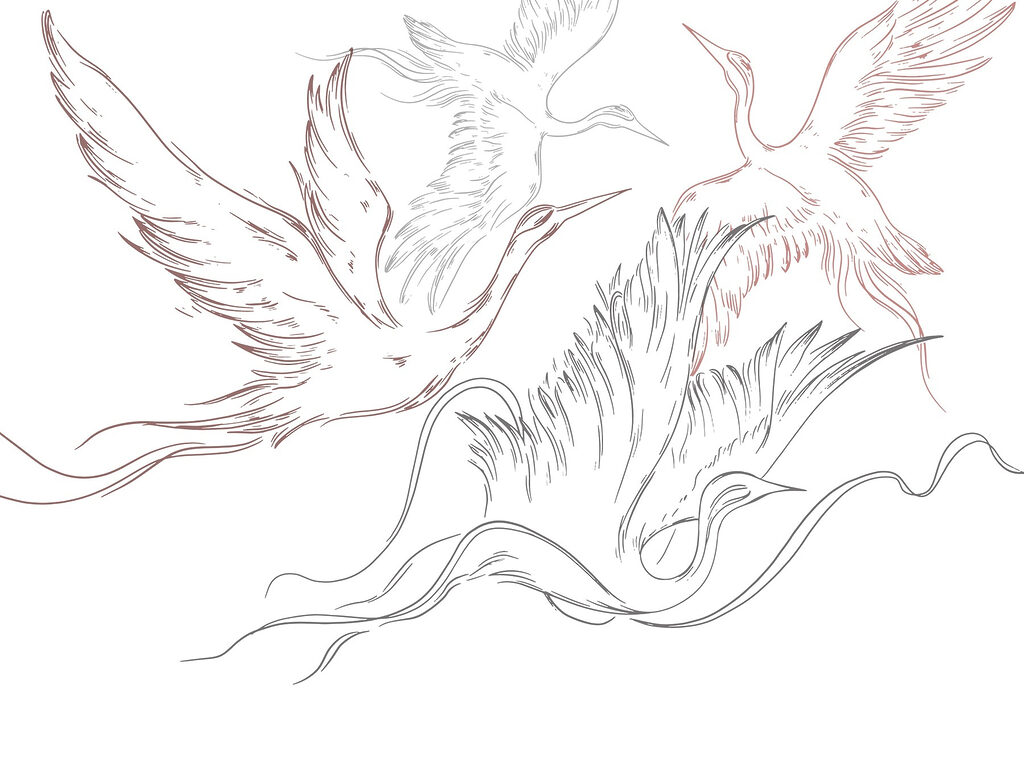 Drawing of birds flying
