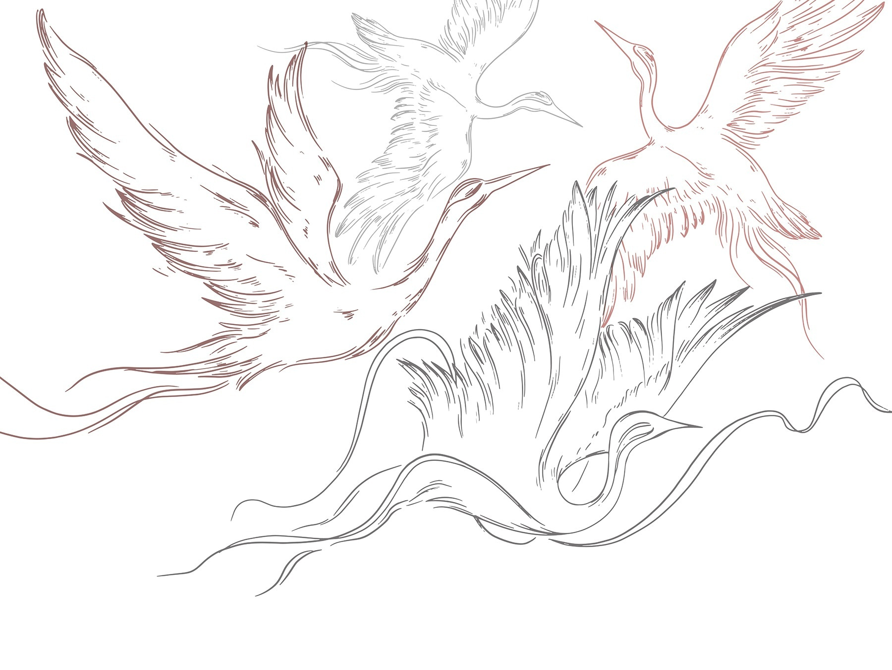 Drawing of birds flying Drawing of birds flying