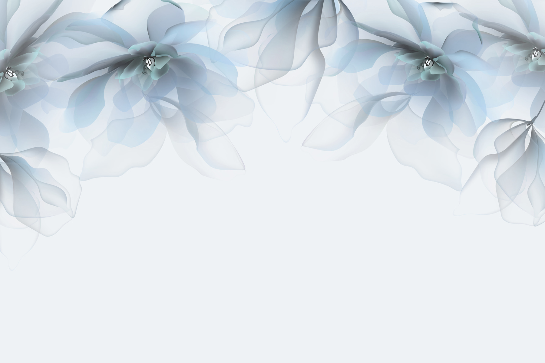 Group of flowers with white and blue flowers