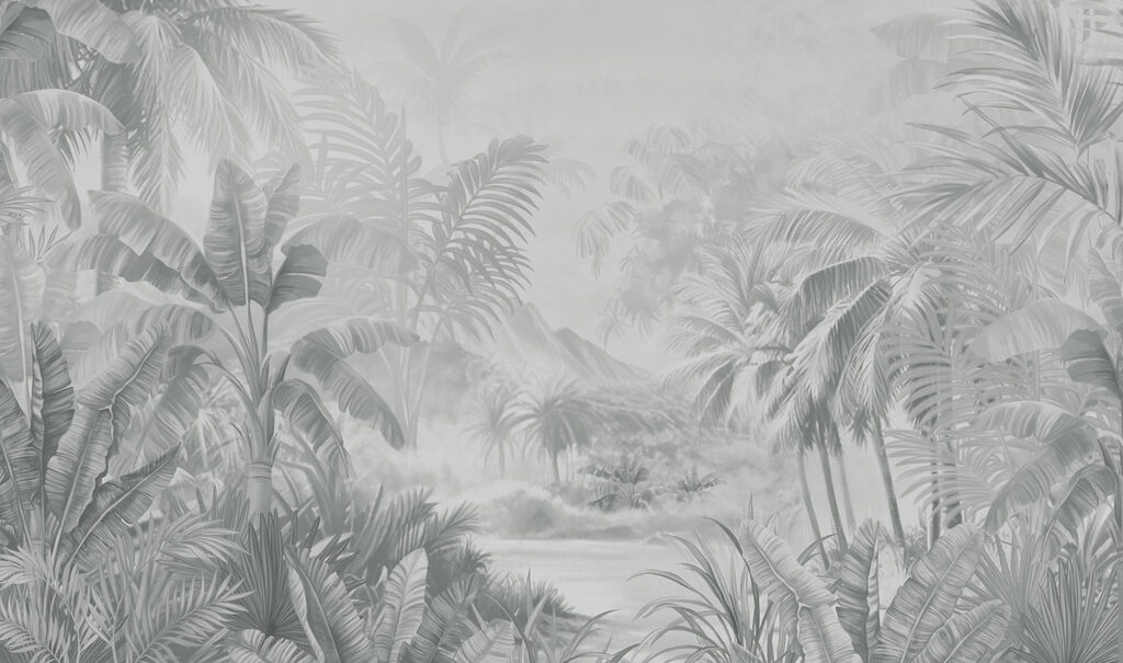 Greyscale image of a tropical forest