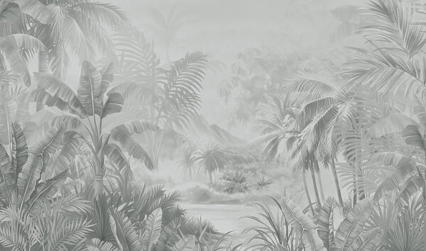 Greyscale image of a tropical forest
