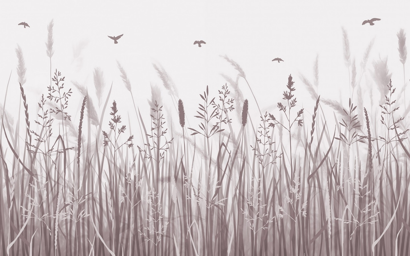 Field of grass with birds flying