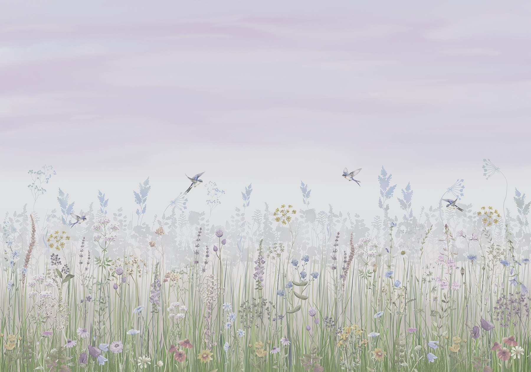 Field of flowers and birds Field of flowers and birds