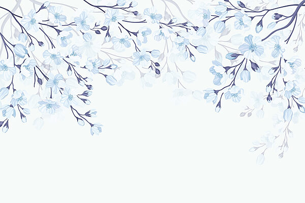 White and blue flowers on a white background