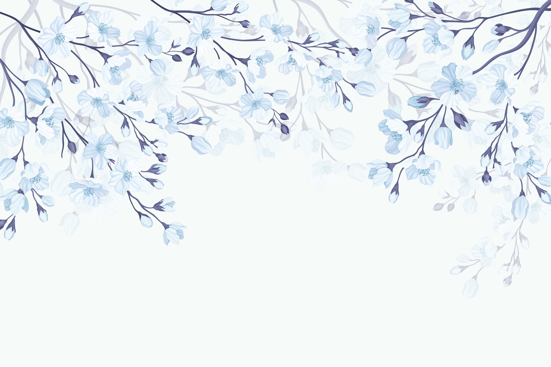 White and blue flowers on a white background