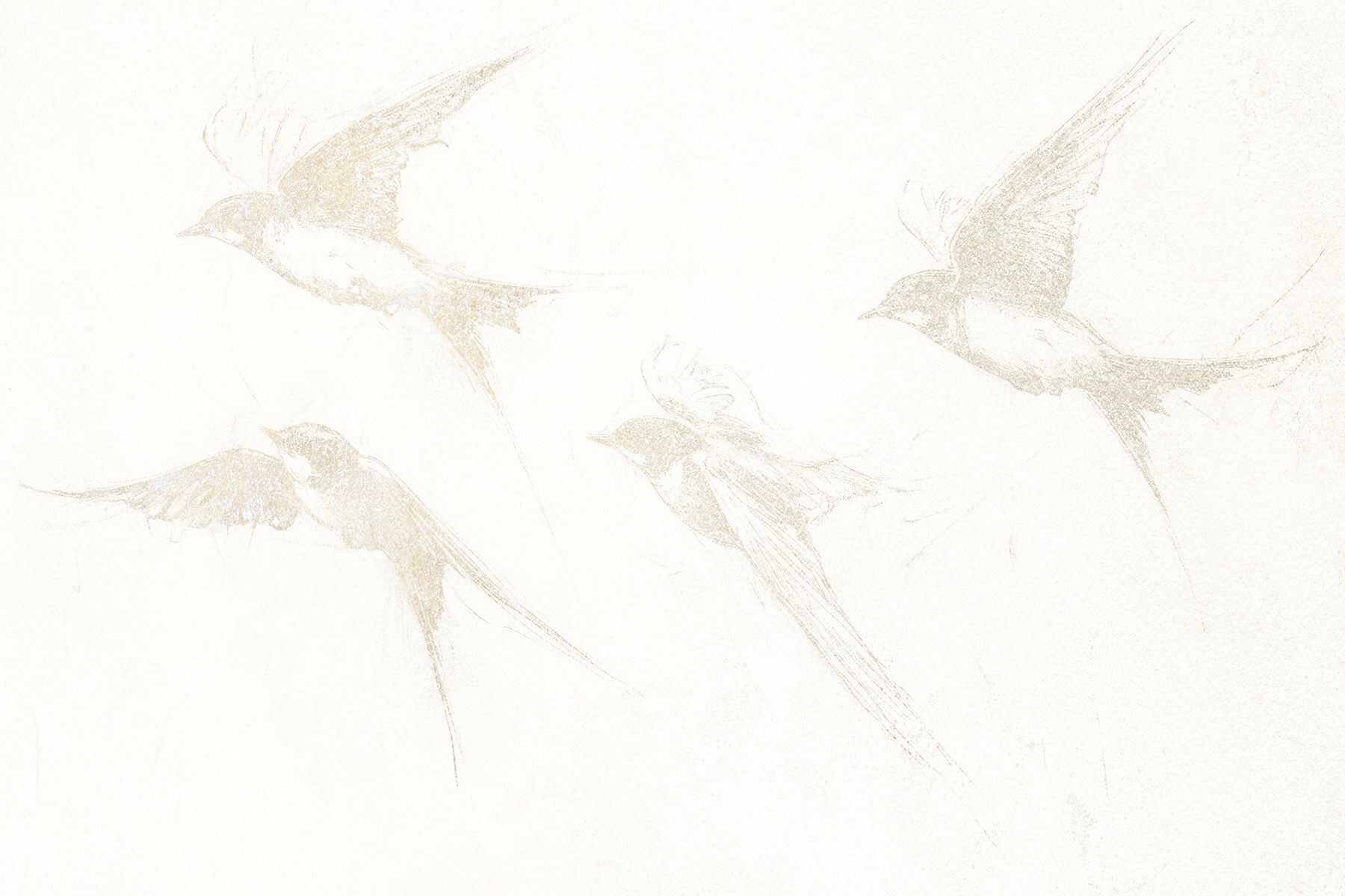 Group of birds flying