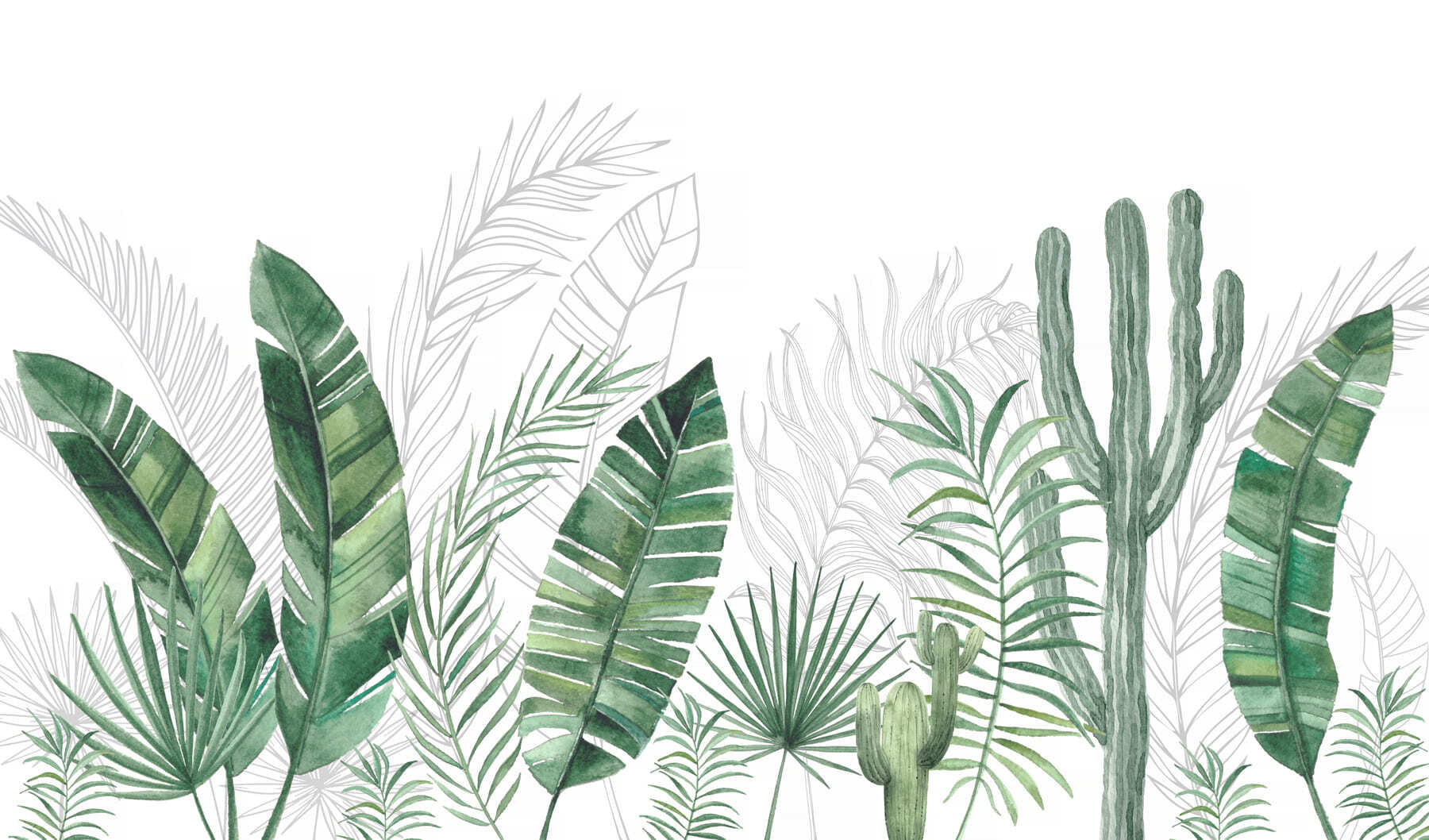 Group of green leaves and cactuses