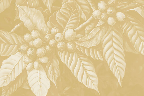 Lush foliage with round fruit clusters