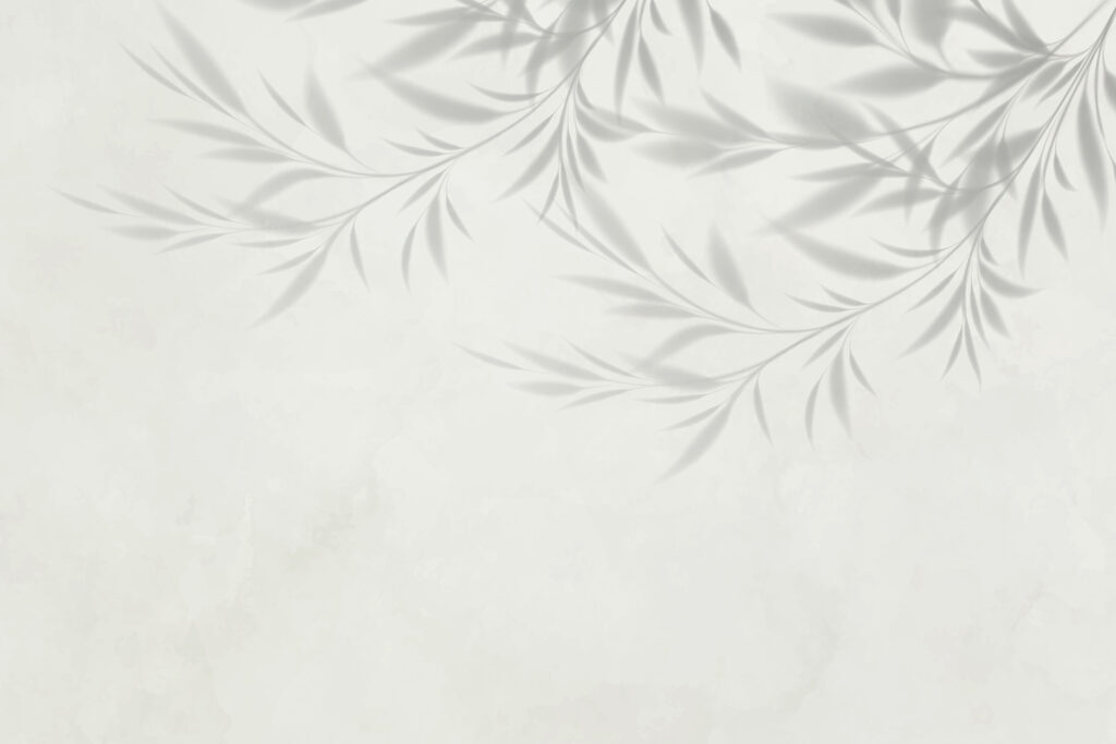 Shadow of leaves on a wall