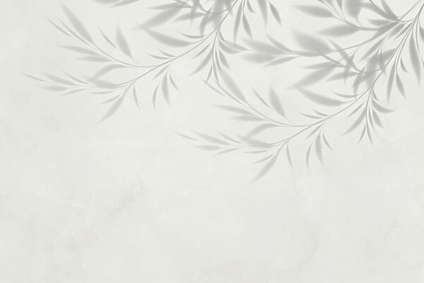 Shadow of leaves on a wall