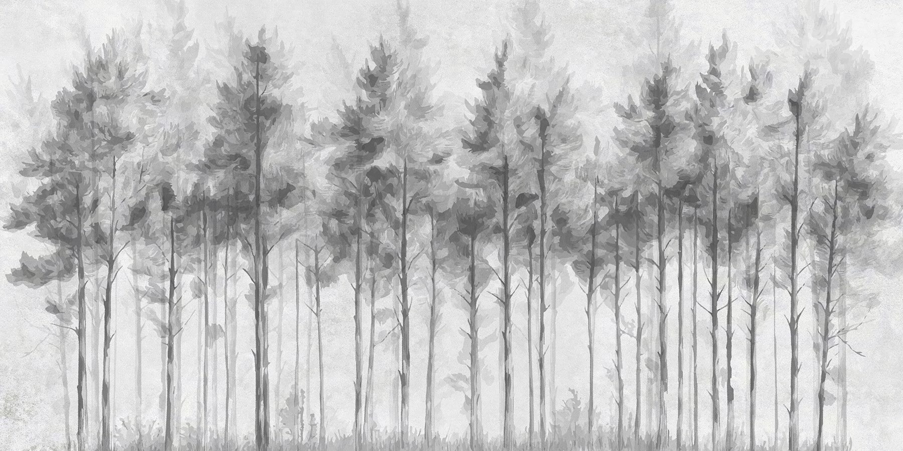 Group of trees in a forest