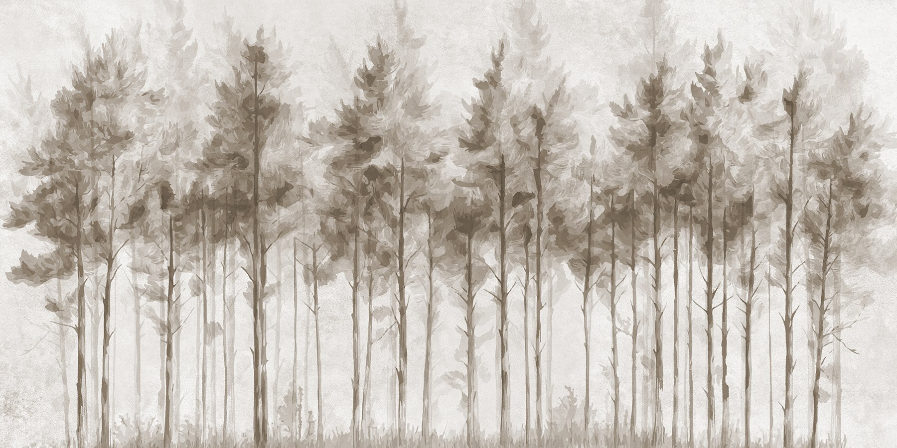 Group of trees in a forest Group of trees in a forest
