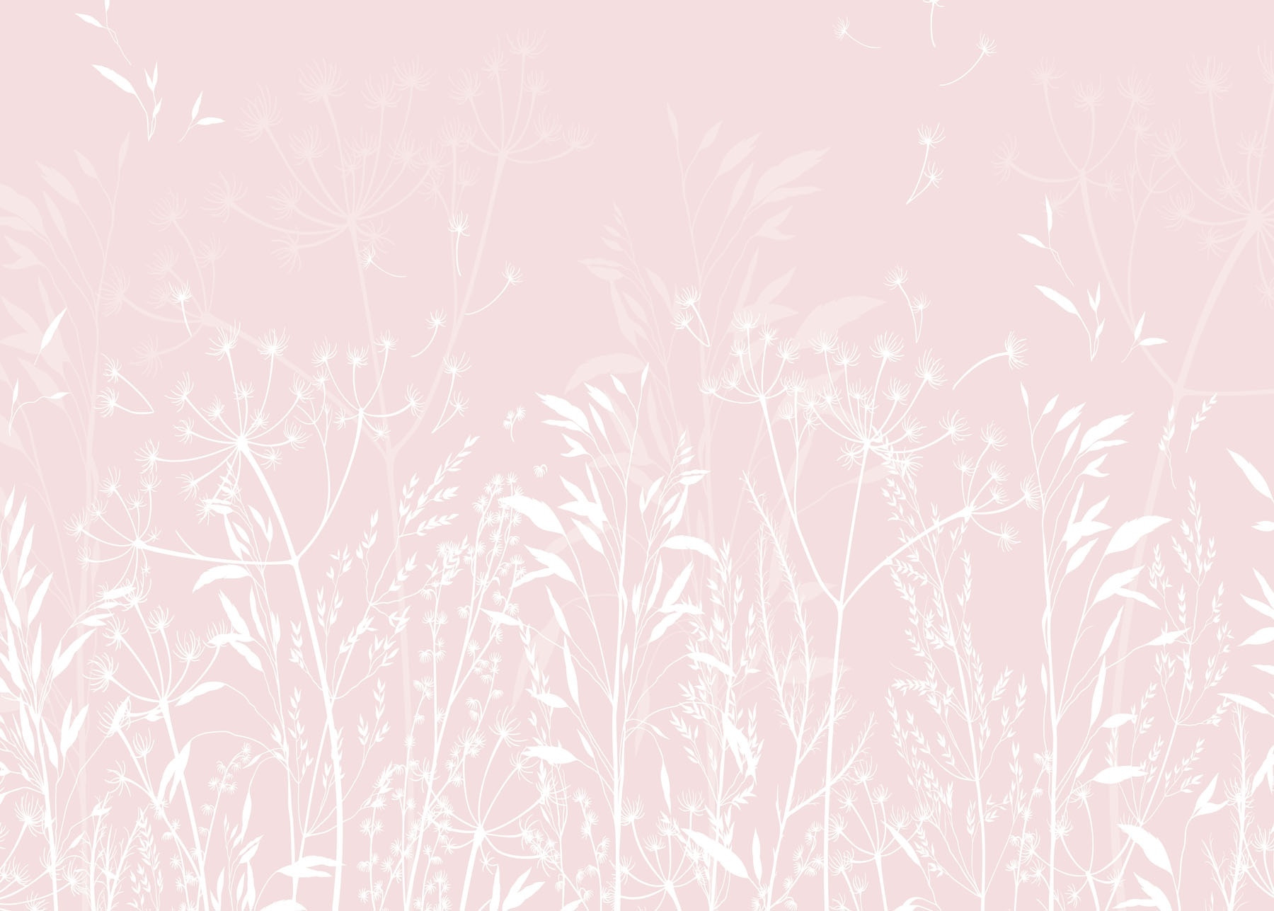 Delicate flora on soft background