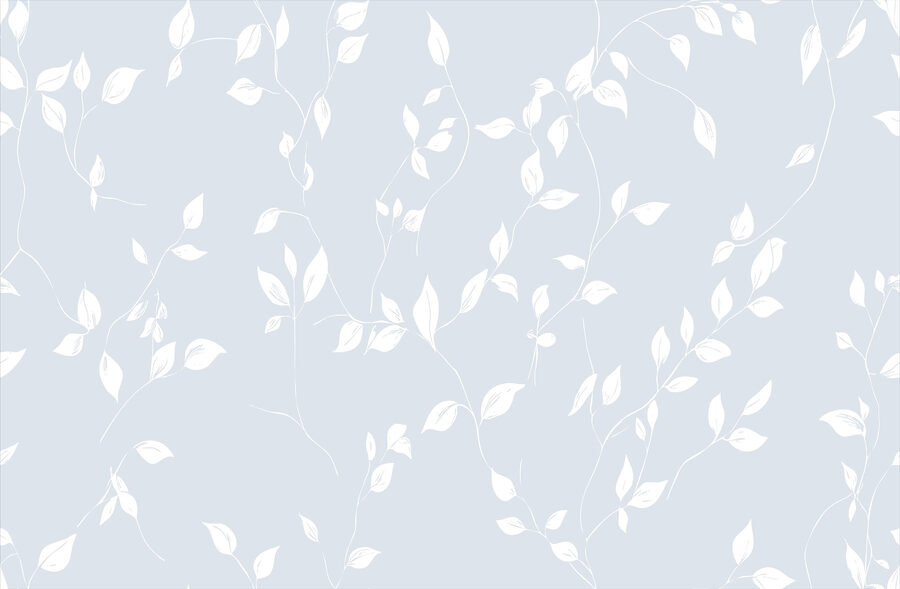 White leaves on a blue background White leaves on a blue background