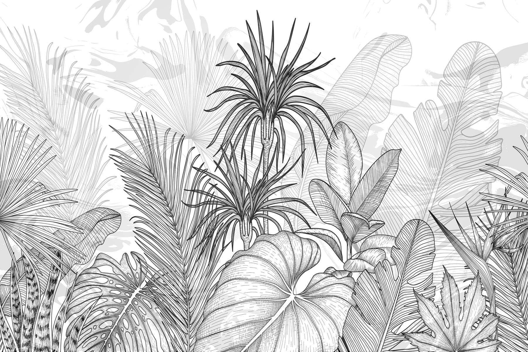 Black and white drawing of plants