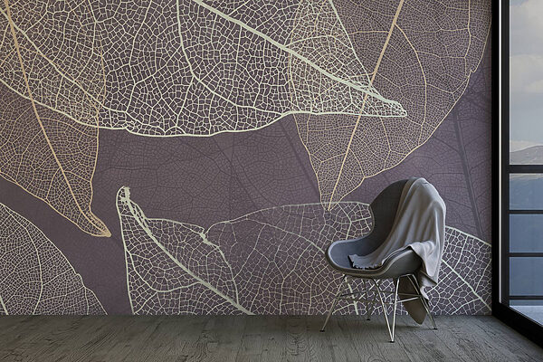 Nature's delicate leaf patterns revealed